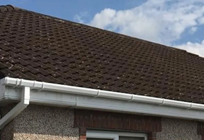 roof cleaning 